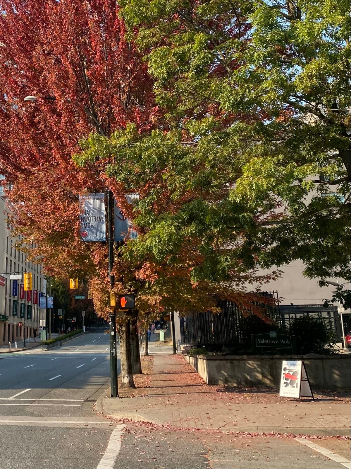 vancouver-home-42