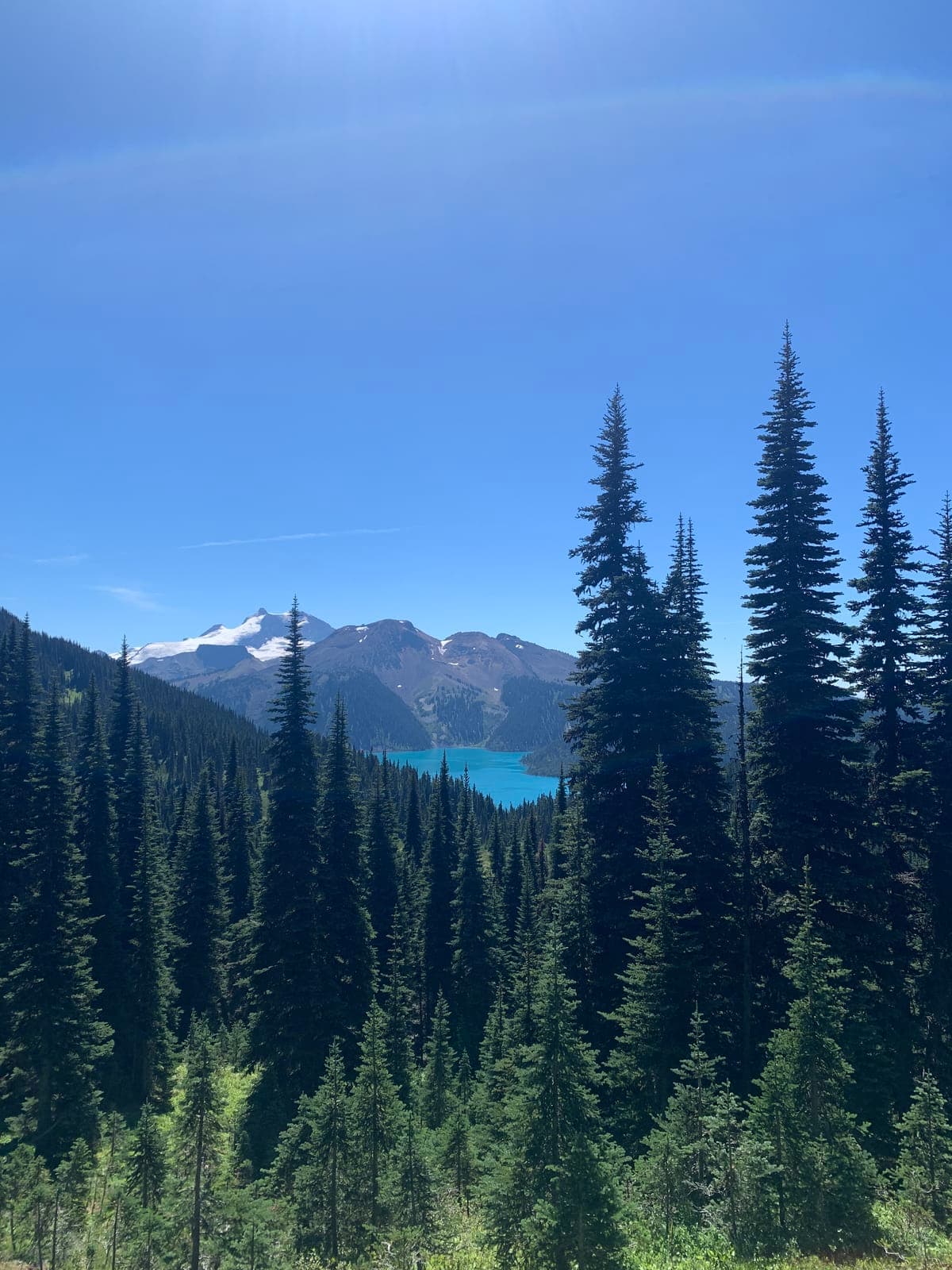 vancouver-home-68