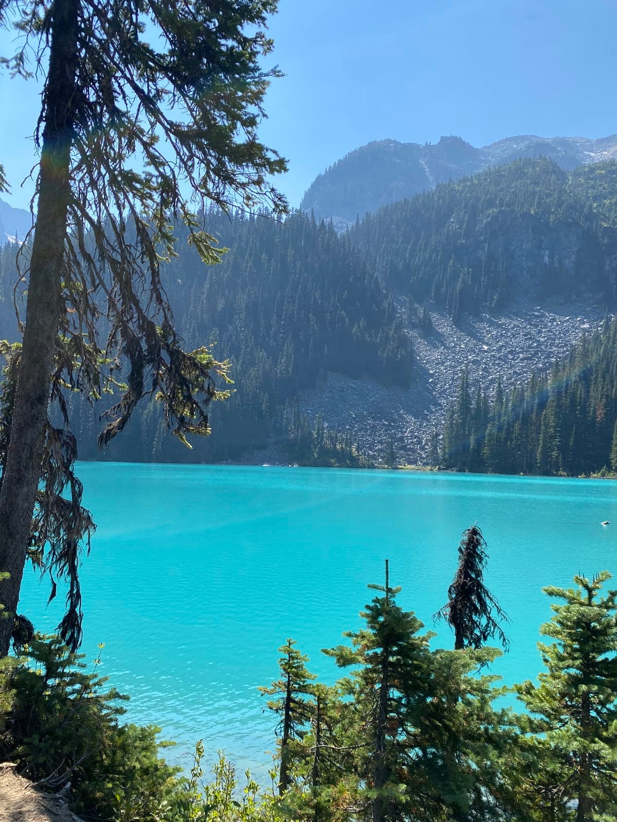 vancouver-home-73