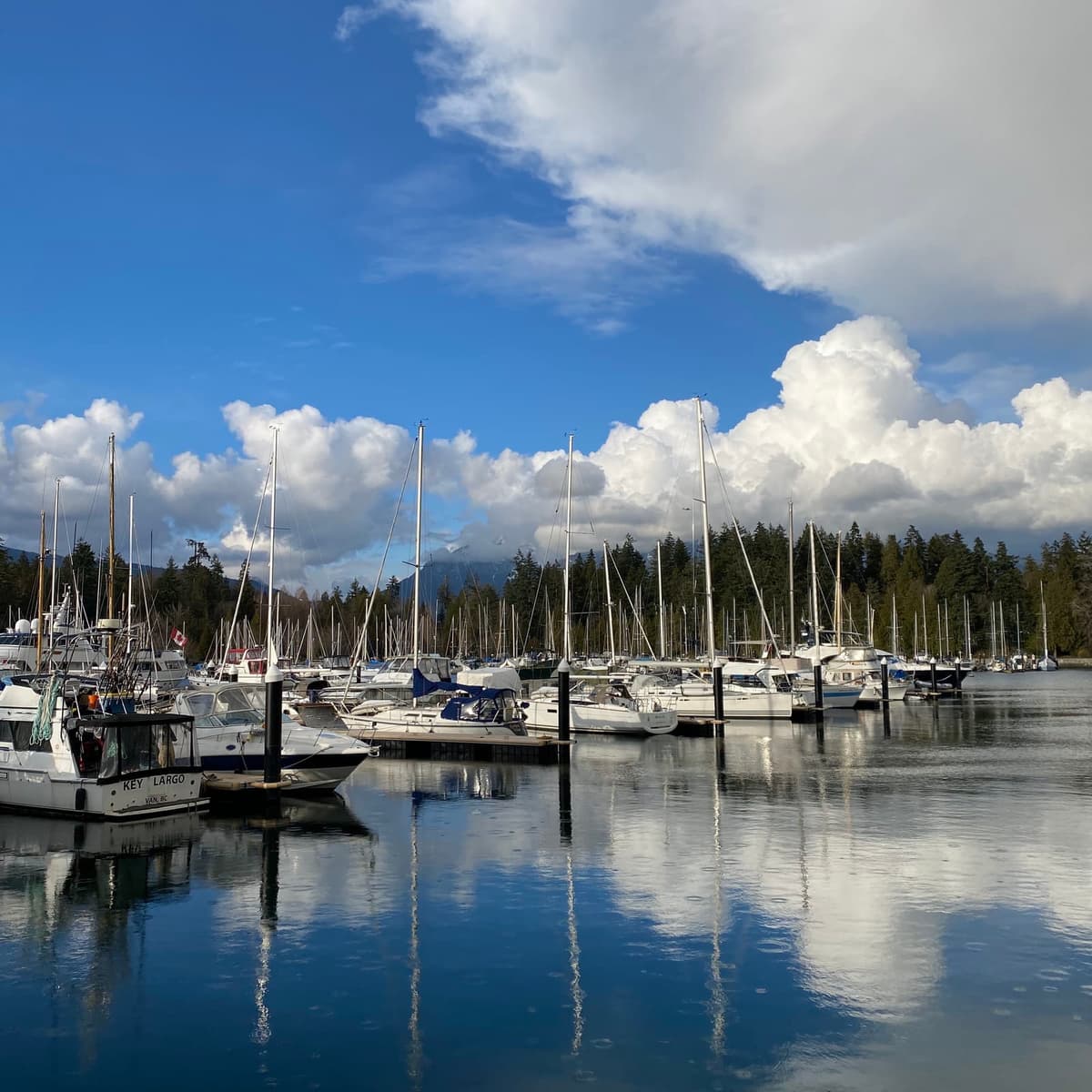 vancouver-home-9