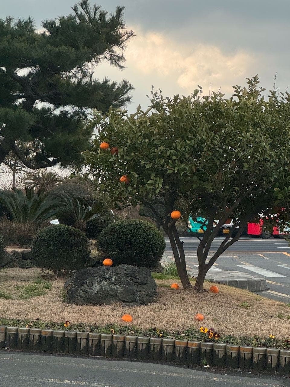 jeju-37
